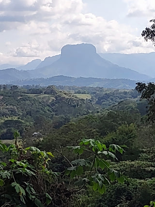 Le retour en force des premières nations dans la filière de vanille du Mexique.