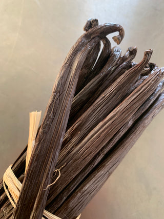 Véritables gousses de vanille Tahitensis d'Equateur