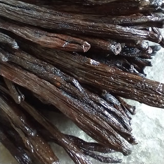 Les gousses de vanille du Mexique