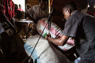 Le point sur la crise de la vanille dans le monde