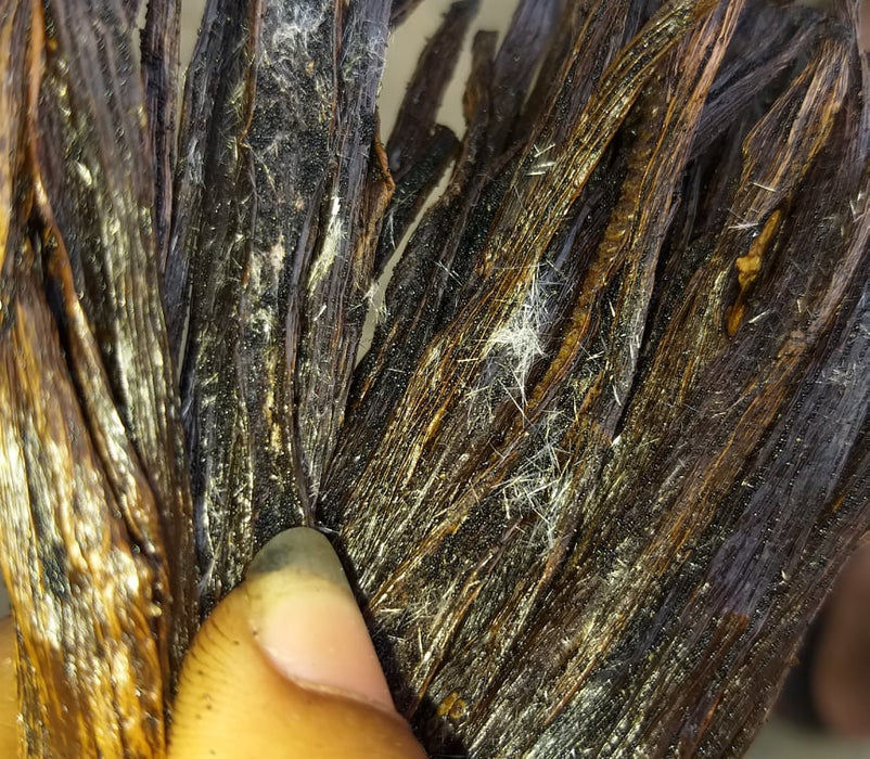 Madagascar vanilla beans